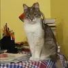 Отзыв от Полина Кузнецова